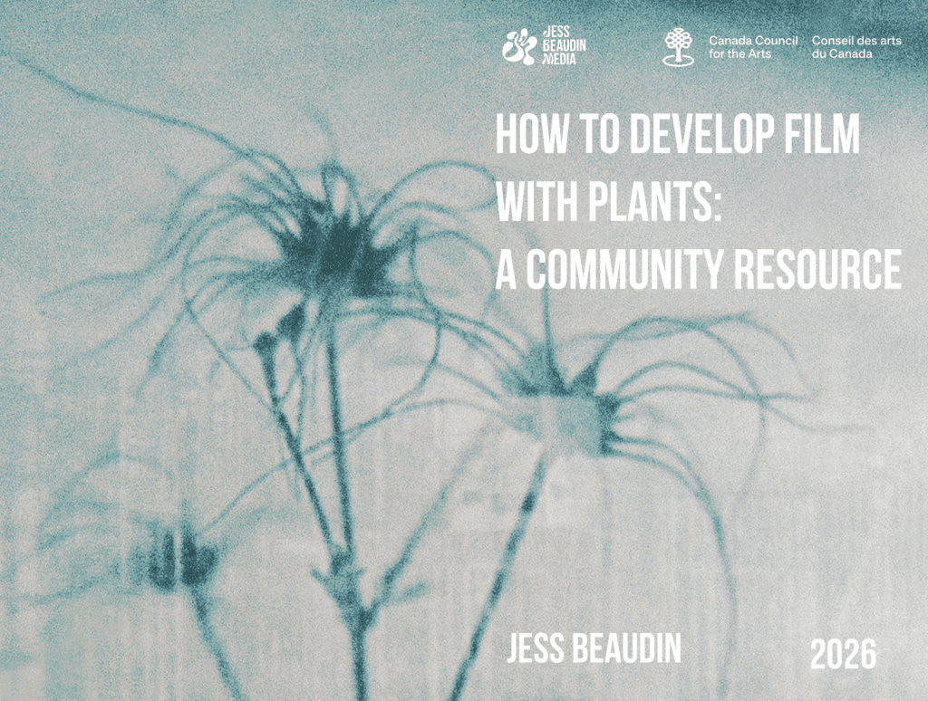 A community guide to harvesting plants ethically to create low toxicity plant film developer