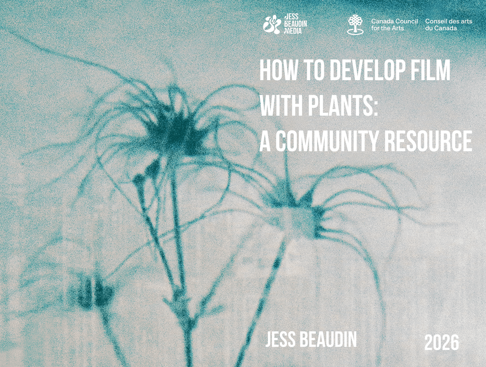 A community guide to harvesting plants ethically to create low toxicity plant film developer